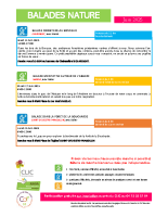 BALADES NATURES 202506 1