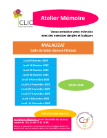 Mémoire MALAUZAT